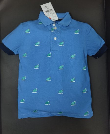 Boys Polo T-shirts dino
