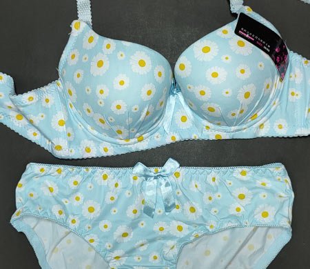 Flora 2PC Bra Sky Blue 34
