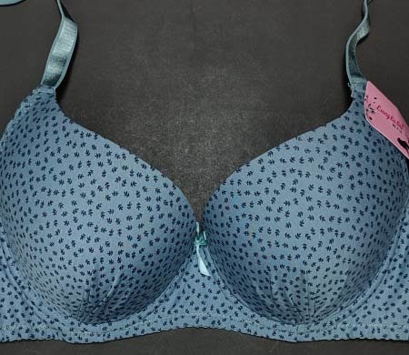 Little Leaves Pushup Bra Blue 42