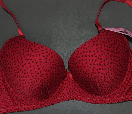 Little Leaves Pushup Red 42